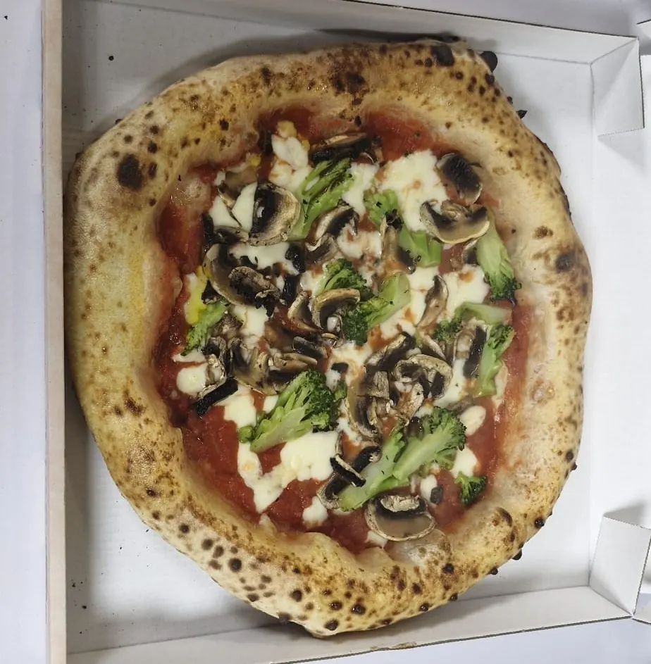 Vari formati di pasta: spaghetti, penne, fusilli, rigatoni, tagliatelle e gnocchi